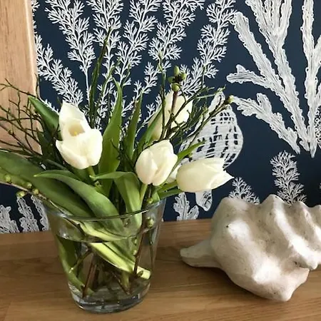 Seaside - Beachhouse Blue *