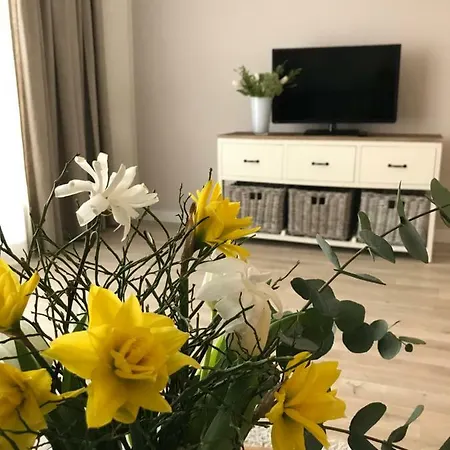 Seaside - Beachhouse Blue *